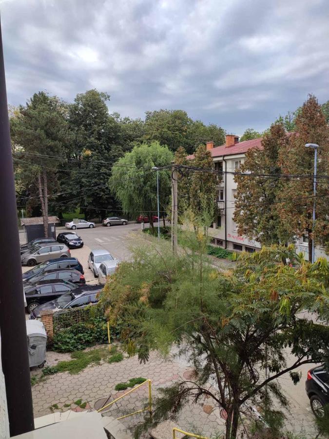 Apartman Jana 比耶利纳 外观 照片